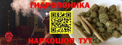 гашик Обь