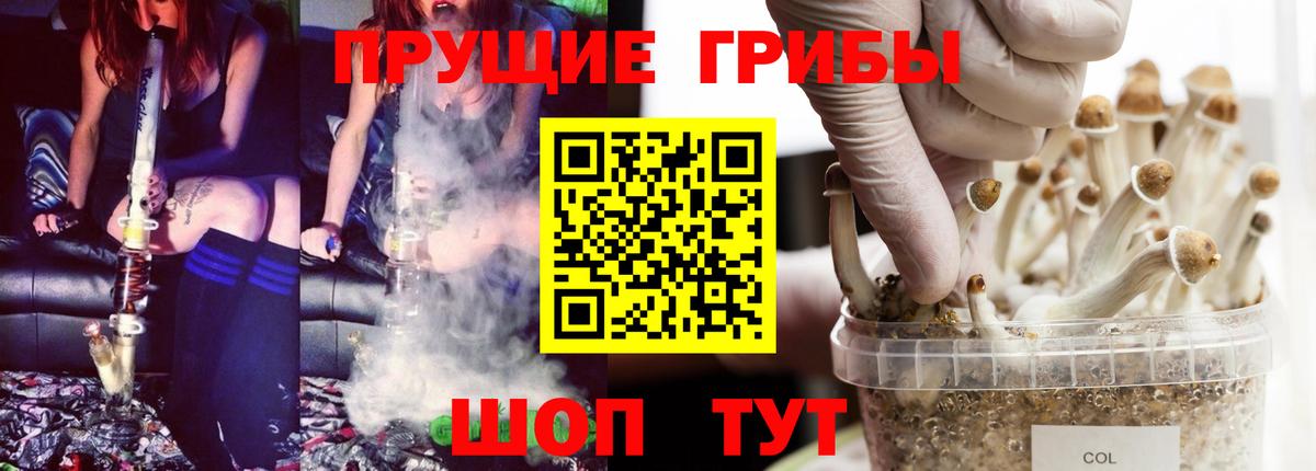 Галлюциногенные грибы ЛСД  Псилоцибиновые грибы мухоморы  Вход с VPN  Бердск 